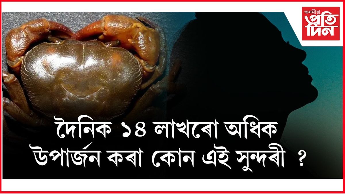 এয়াৰ হ’ষ্টেছৰ চাকৰি এৰি কেঁকোৰাৰ ব্যৱসায়ত নামিল সুন্দৰী যুৱতী
